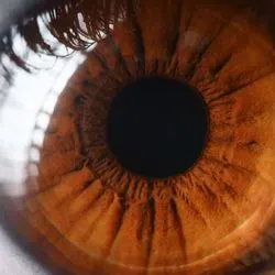 Close up of a human eye