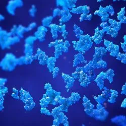 3D model of proteins