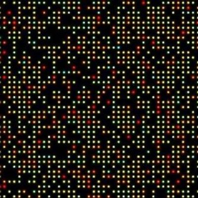 Rapid ID of Tumor Cell Metabolism Aids Treatment
