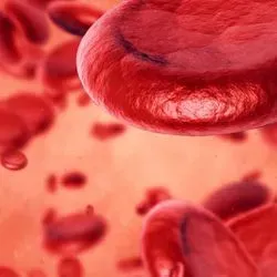 Graphical image of blood