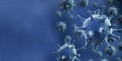 Computer image of virus 