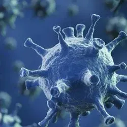 Computer image of virus 