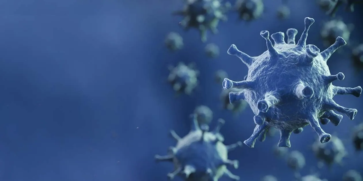 Computer image of virus 