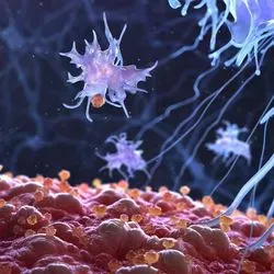 Image of t cells attacking a foreign body