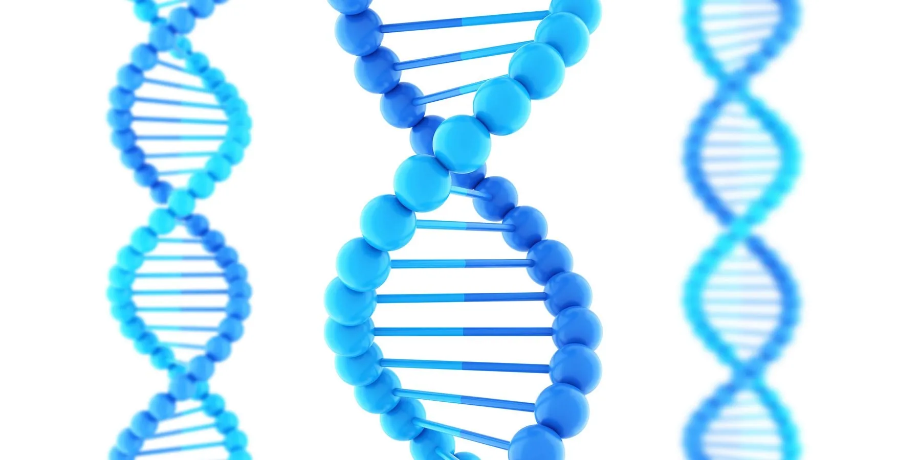 DNA double helixes made of plastic