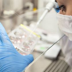 Photo of a clinical lab professional wearing PPE and pipetting CAR T cell therapies