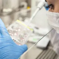 Photo of a clinical lab professional wearing PPE and pipetting CAR T cell therapies