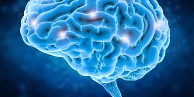 Image of a human brain with highlighted points of damage