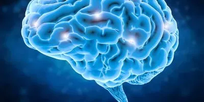 Image of a human brain with highlighted points of damage