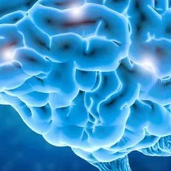 Image of a human brain with highlighted points of damage