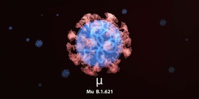 Image of the Mu variant
