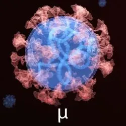Image of the Mu variant