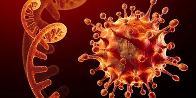 Image of a viruse next to an RNA strand