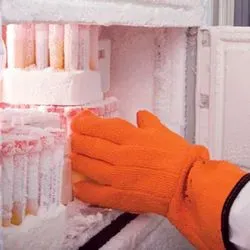 Photo of a clinical lab personnel opening an ultra-low temperature freezer
