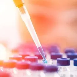 Researcher pipetting blue liquid into a container