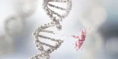 Image of a human DNA strand being damaged or repaired