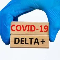 Gloved hand holding blocks that say COVID-19 and DELTA +