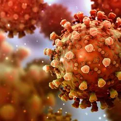 Image of viruses