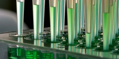 Pippettes pipetting on a tray