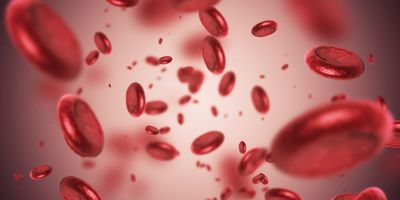 Computer image of red blood cells