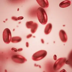 Computer image of red blood cells