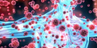 Illustration of a human body X-ray with coronavirus infecting it
