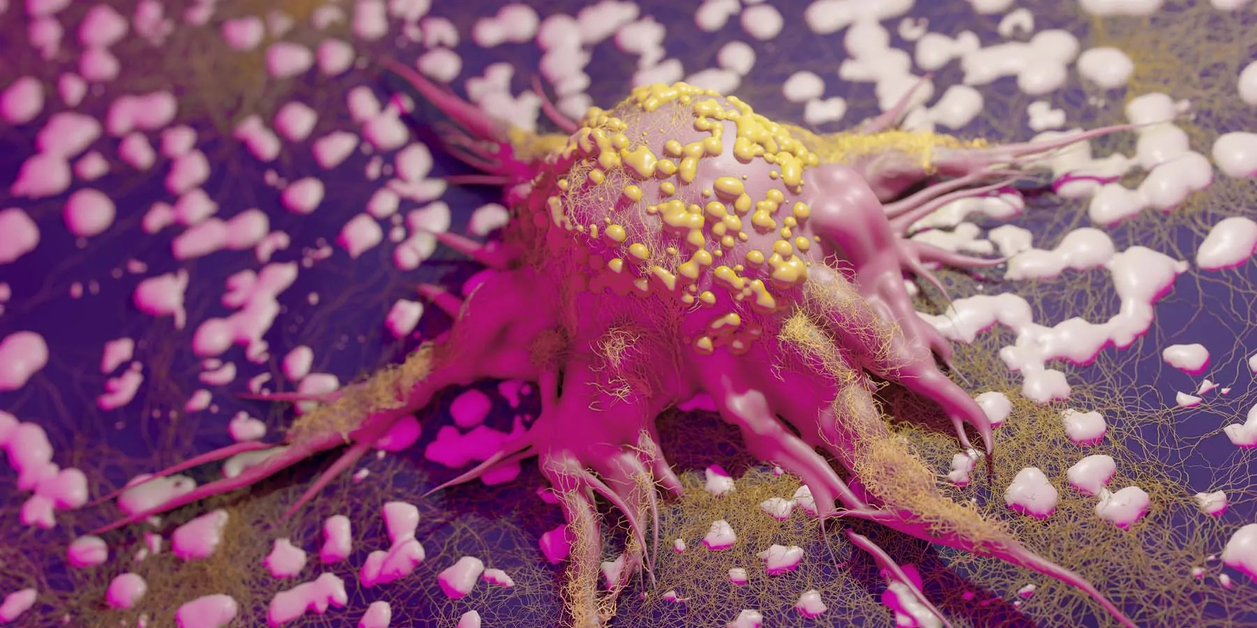 Image of a tumor cell