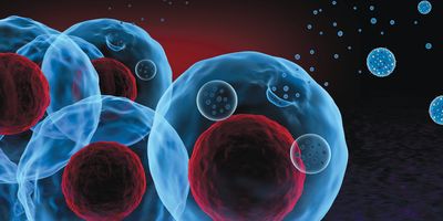 Illustration of a cell releasing microvesicles into the extracellular space