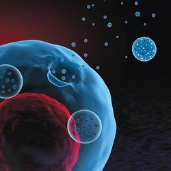 Illustration of a cell releasing microvesicles into the extracellular space