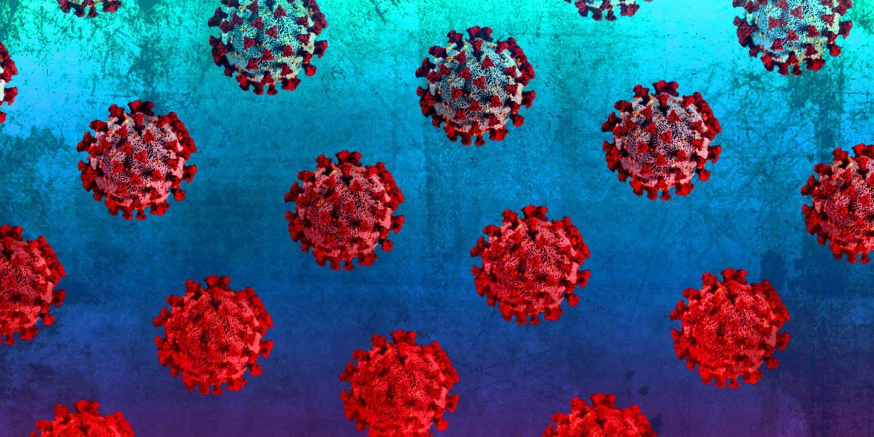 Computer images of the Delta variant of COVID-19