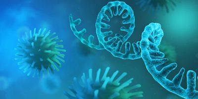 Computer image of RNA strand near viral particles