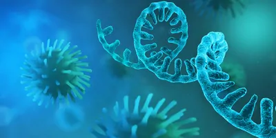 Computer image of RNA strand near viral particles