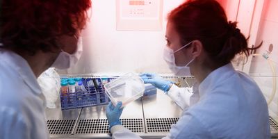 Two clinical professionals work on CAR T-cell therapies