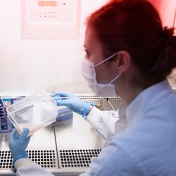 Two clinical professionals work on CAR T-cell therapies