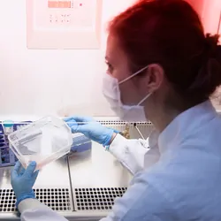 Two clinical professionals work on CAR T-cell therapies