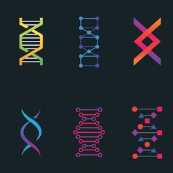 Illustration of eight colorful DNA helices