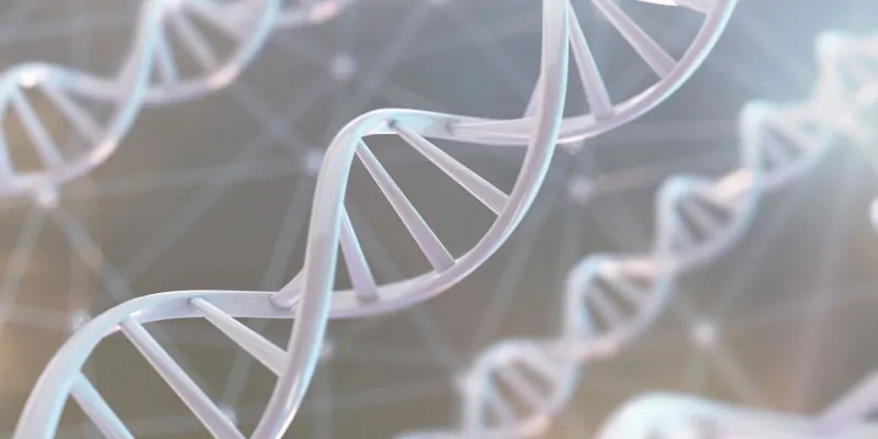 Illustration of a white DNA double helix against a grey background