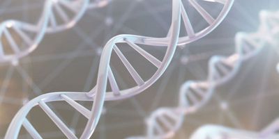 Illustration of a white DNA double helix against a grey background