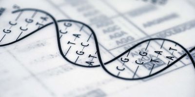 Image of a drawing of dna with base pair letters indicated