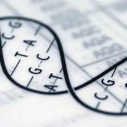 Image of a drawing of dna with base pair letters indicated