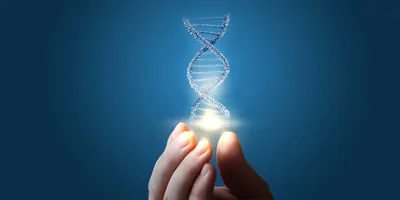 Hand holding a DNA strand