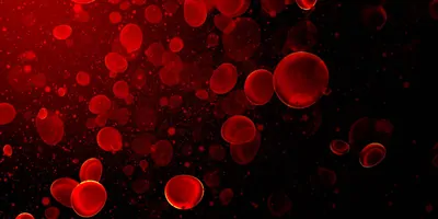 Computer image of red blood cells floating in a vein