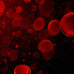 Computer image of red blood cells floating in a vein