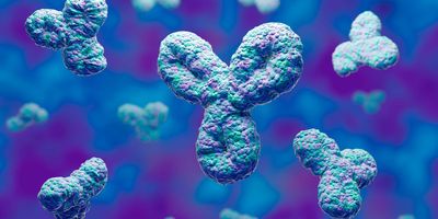 Computer image of a human antibody on a blue background