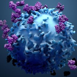 The Impact of COVID-19 on Cancer Screening and Biobanking