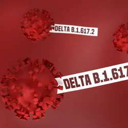 Computer image of the COVID-19 Delta variant virus with ID tags on red background