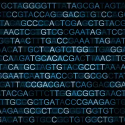 Digitized DNA sequences written out as nucleic acid strands