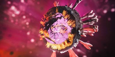 Computer image of COVID-19 virus with RNA visible