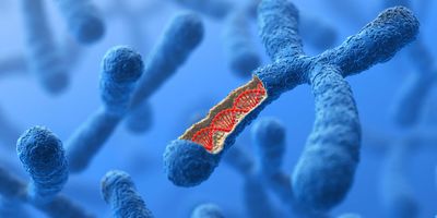 Human chromosomes with DNA visible on a blue backdrop