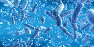 Computer images of bacteria floating in a blue medium